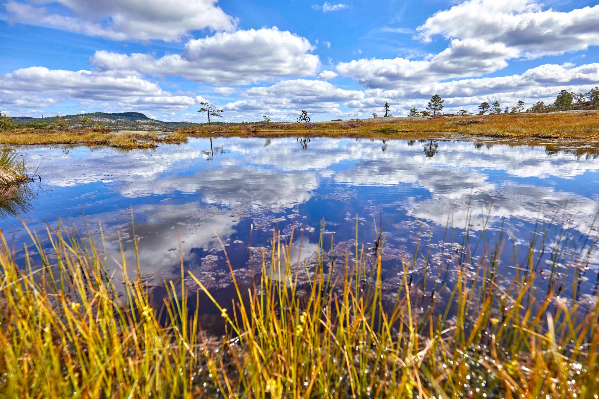 ss-18-fjora-mrchrisholter-1