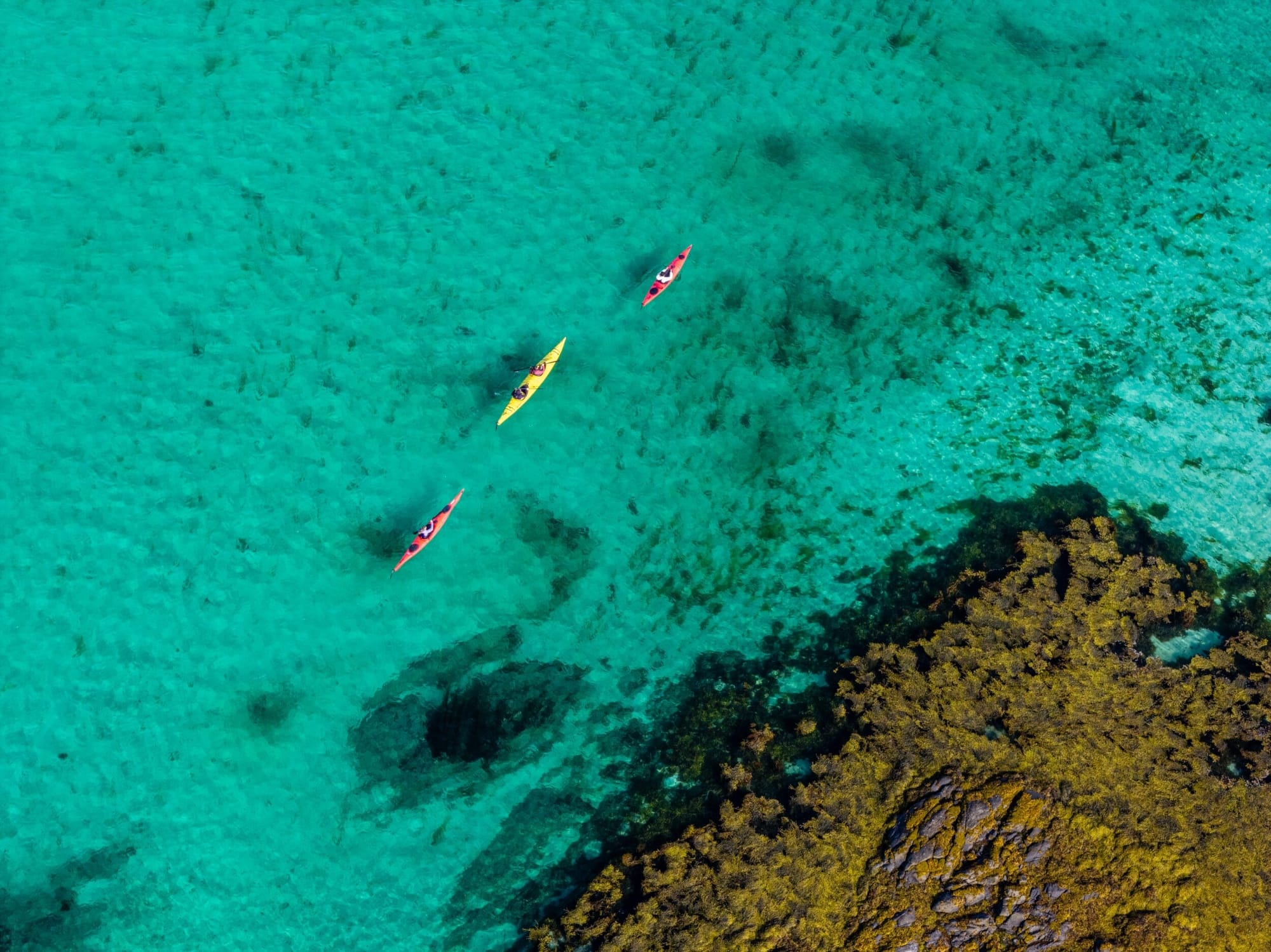 Risvær-Kayak@Simon Sjøkvist-DJI_20260813114404_0349_D
