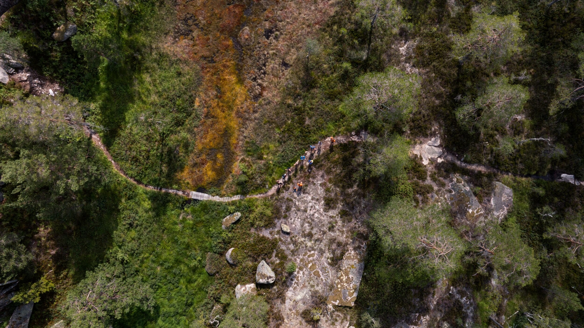 Trail run (41)